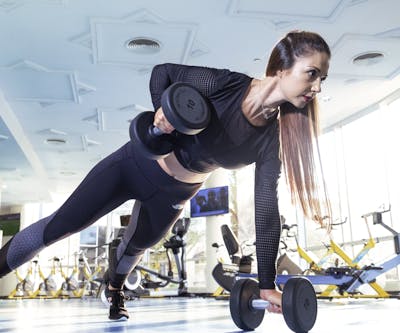 Exercise Equipment - Cardio, Weights, Benches, Etc